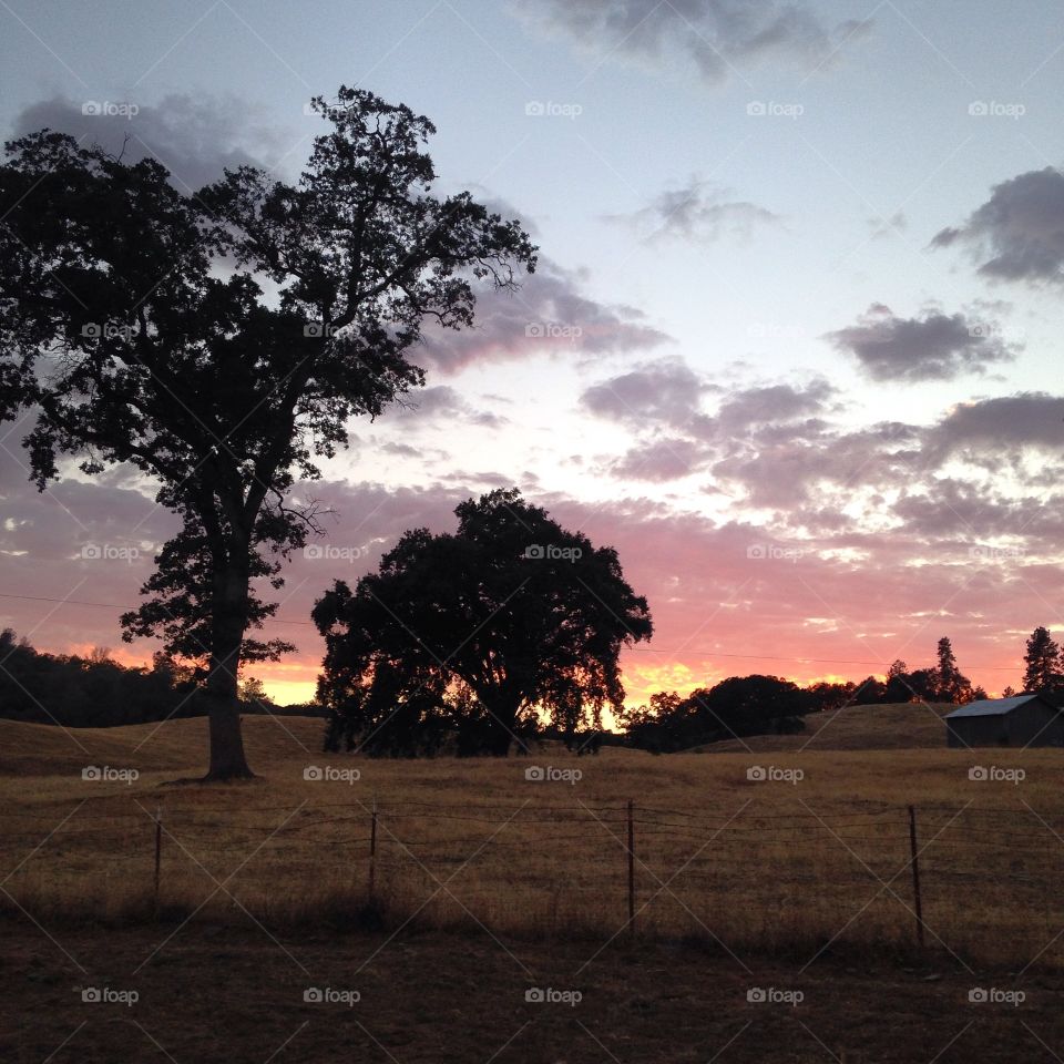 Sunset on a CA ranch