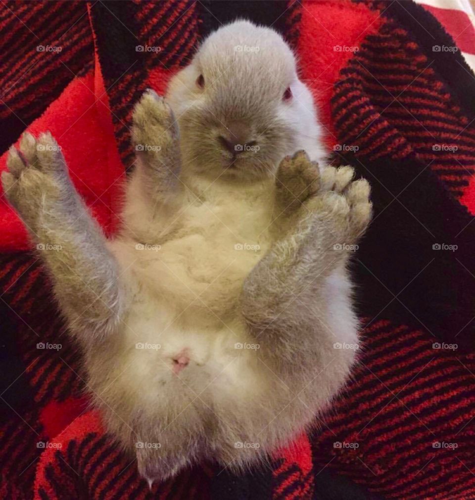 I’ll just relax here 😂