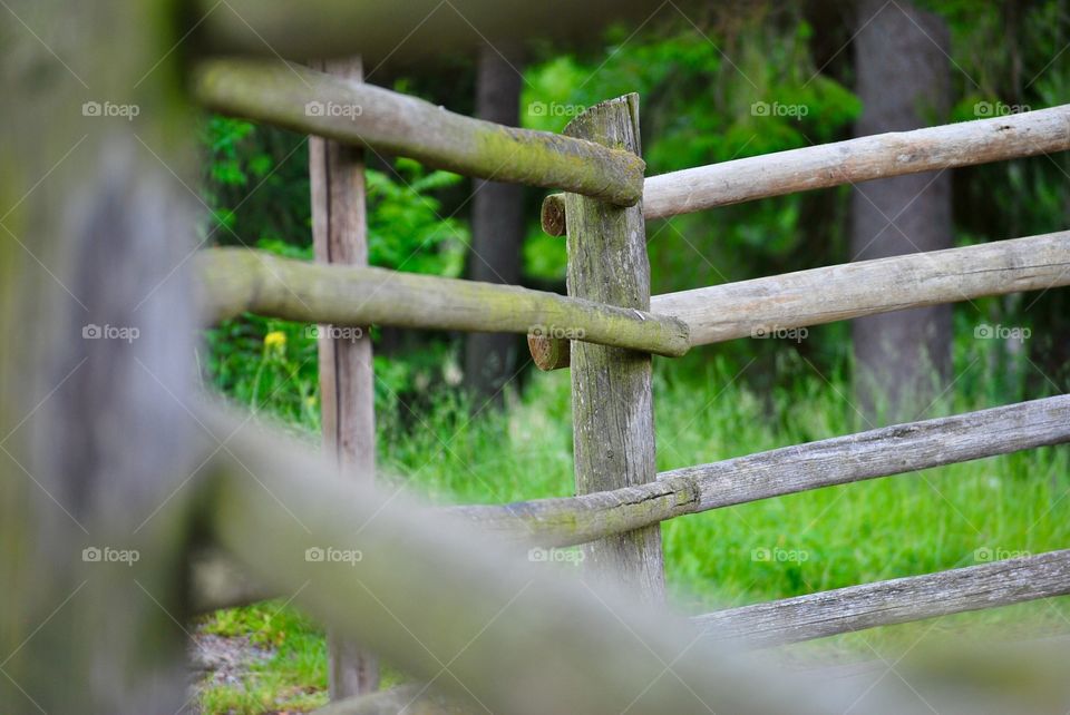 Wooden fence
