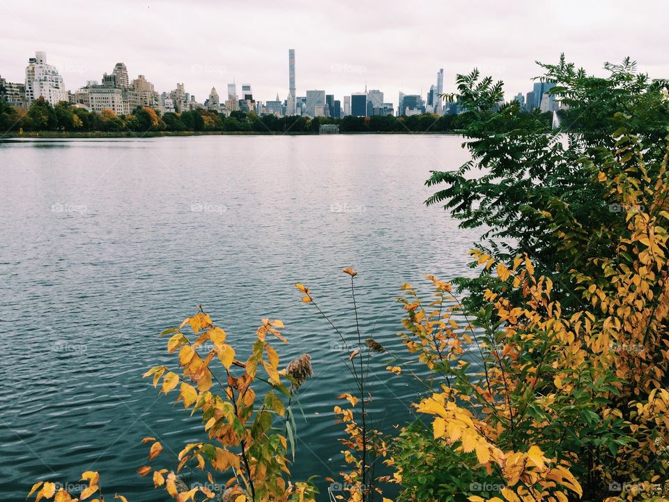 NYC, Central Park