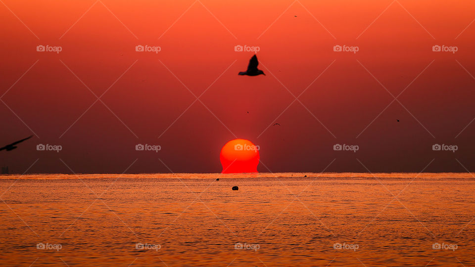 Sunrise and birds at Haeundae beach, Busan, South Korea