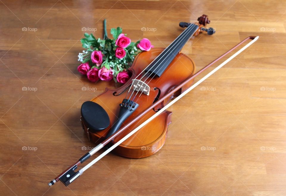 Violin, Violino, Instrument, Music, Love, Romance, Strings, Bow, Flowers, Art 