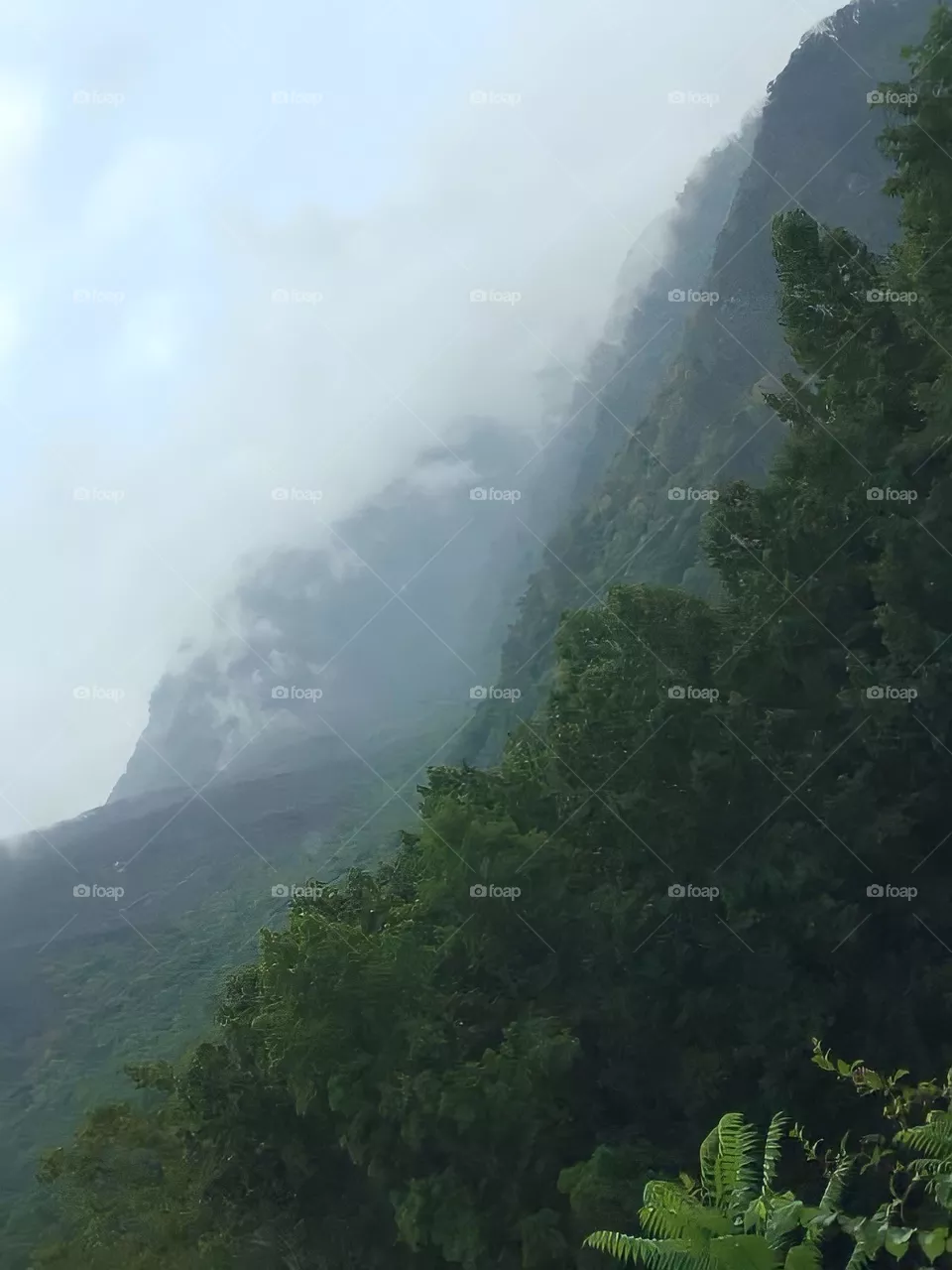 Tennessee mountains 
