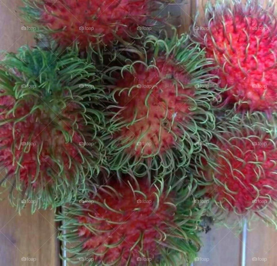 fruits
