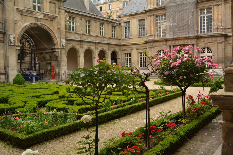 Museum Garden