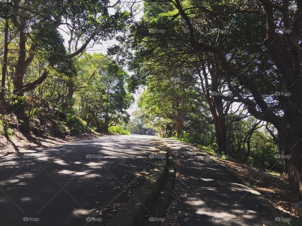 Beautiful road along the Sydney beach