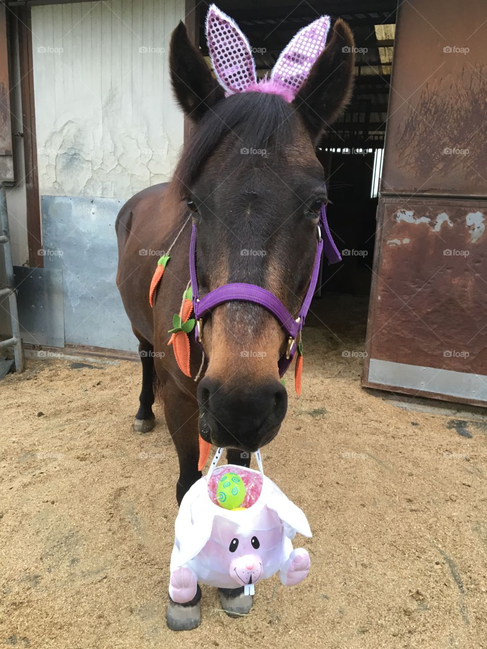 Easter horse