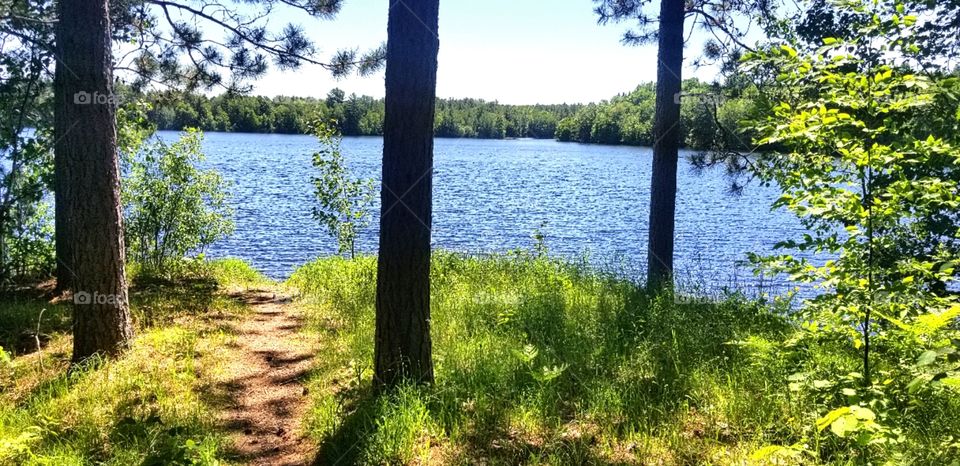 nature and trails by the lake