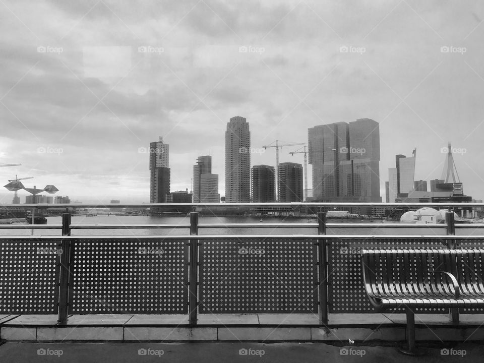 Rotterdam skylines