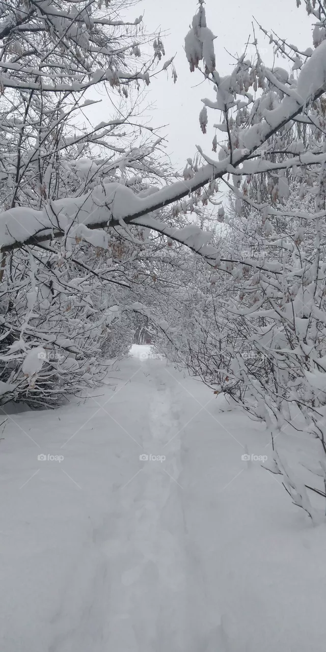 Winter