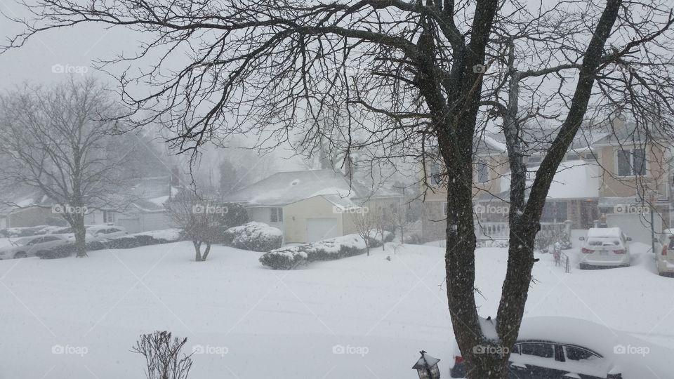 Snow storm in NY 1/22/16