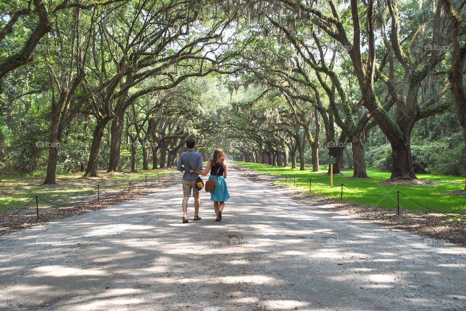 Love in savannah