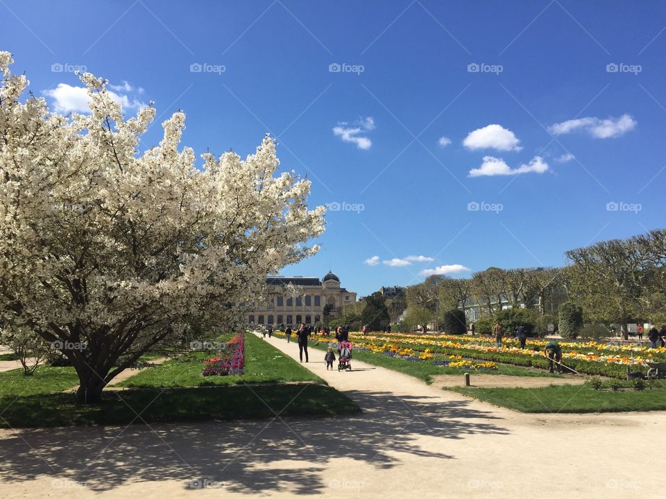 Spring has sprung in the botanical gardens of Paris 😍