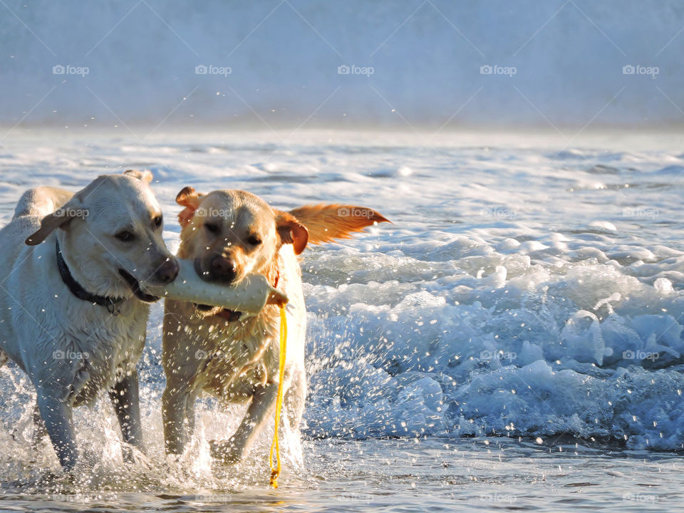 Enjoying the cool water!