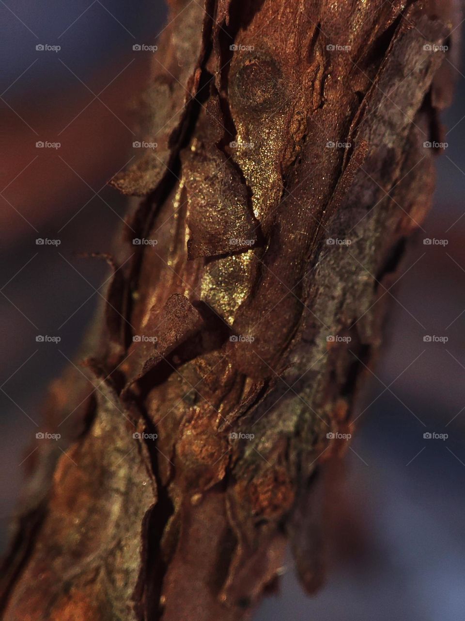Macro photo of branch in the garden
