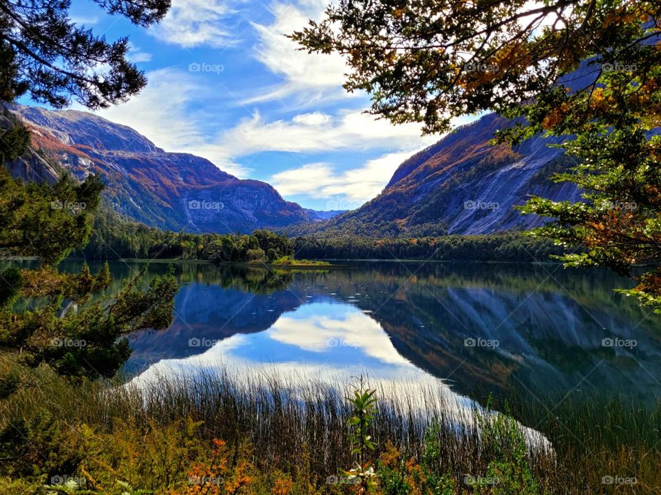 Una imagen transmite un sinfín de emociones