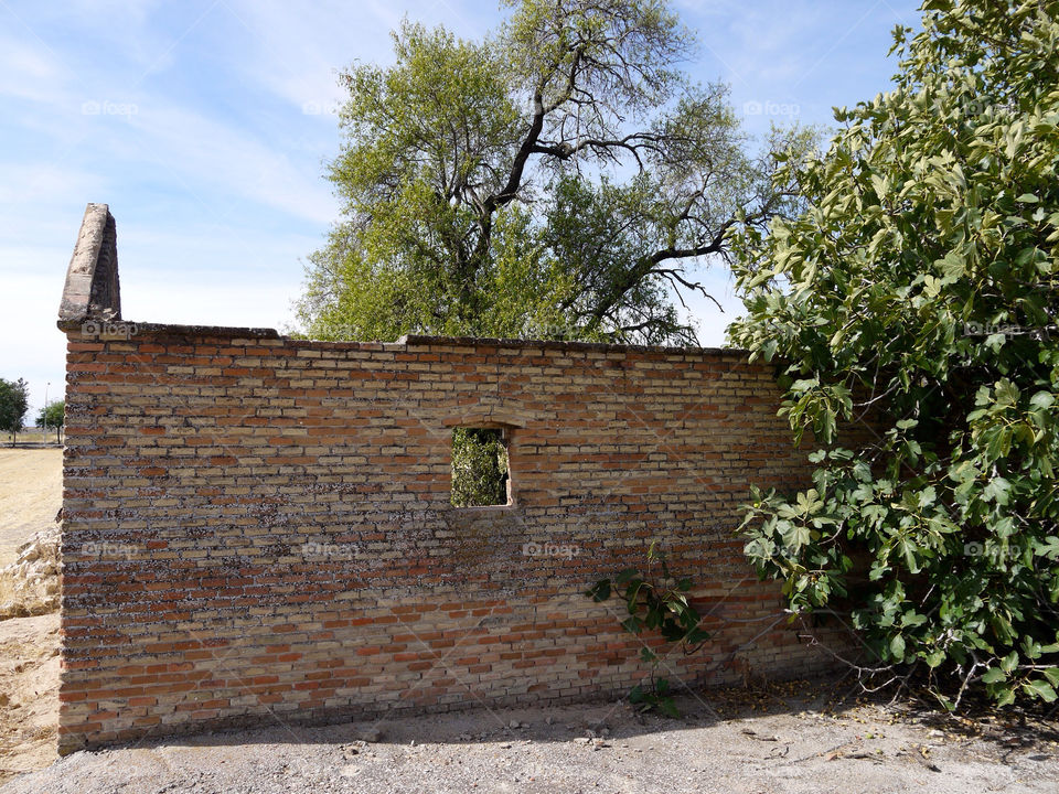 wall trees house window by alejandrorubiob