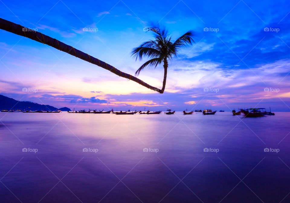 Long exposure photo of sea and coconut tree on the beach