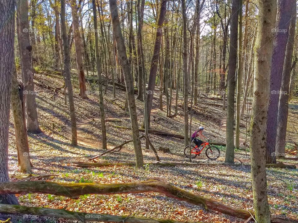 Mountain biking throughs bring flowers in the woods