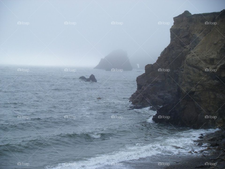 Foggy shores 