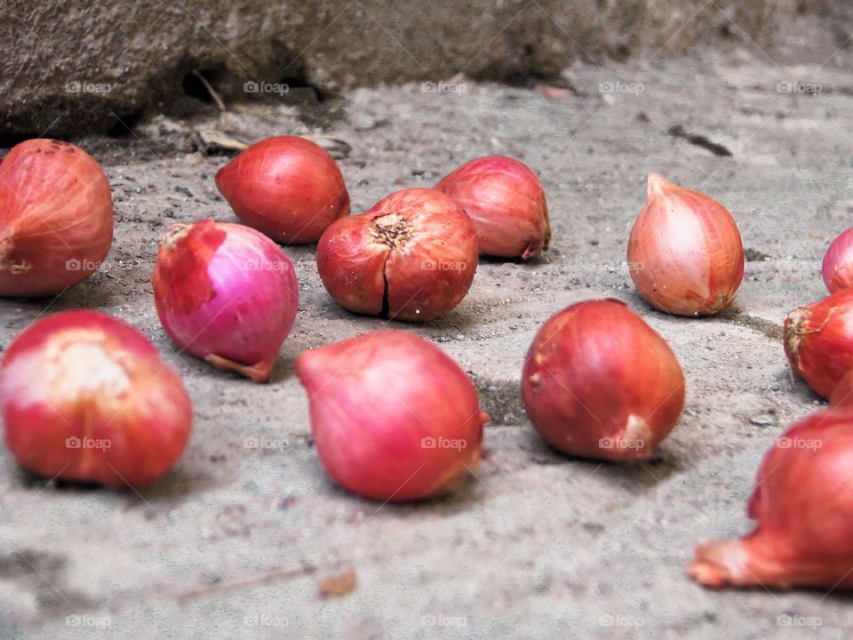 Close-up view of raw shallots scattered on the ground after being harvested