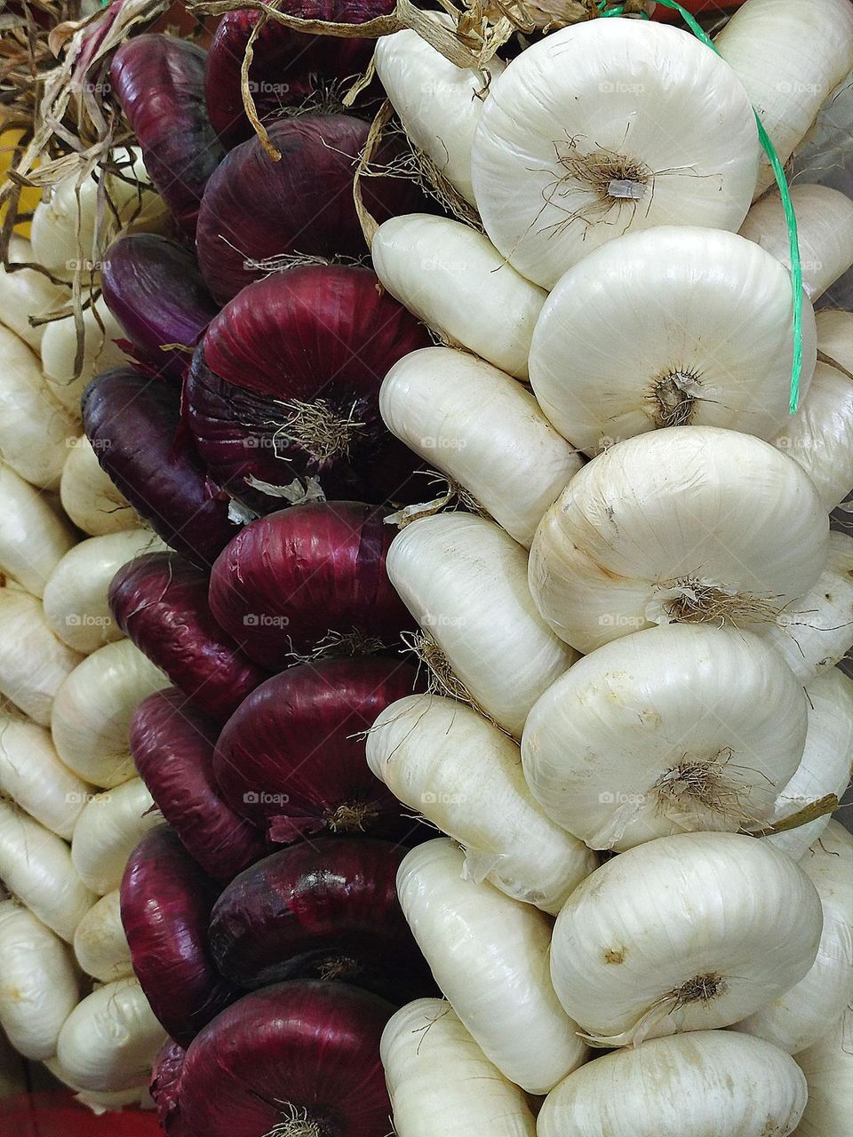 bunches of white and red onions