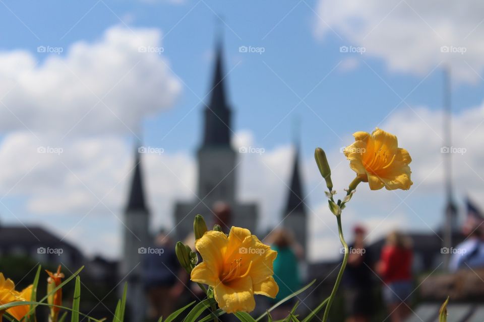 Flowers in foreground. Cathedral in background. New Orleans. Historic landmark. Summer day pretty flowers. 
