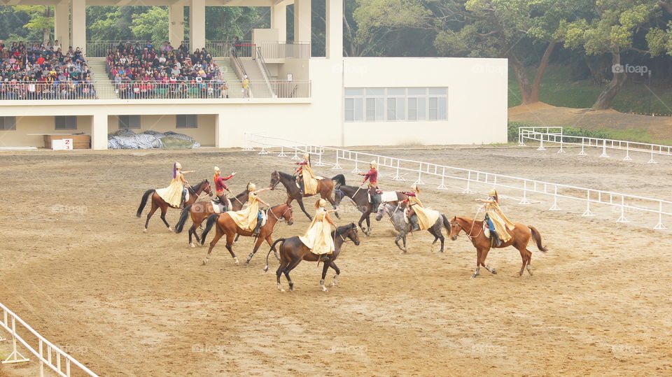 Equestrian performances 馬術表演
