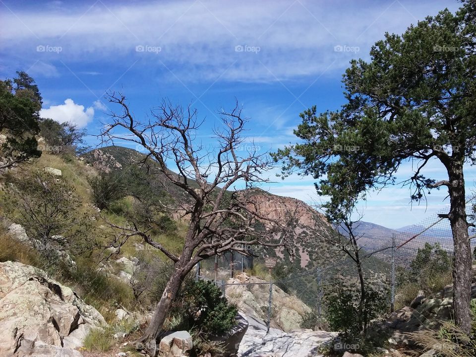 Carr Canyon overlook