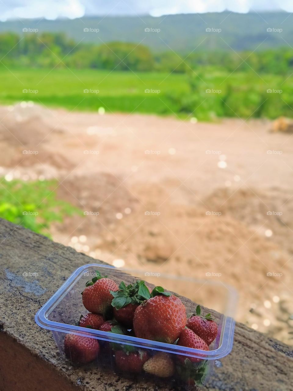 strawberry 🍓