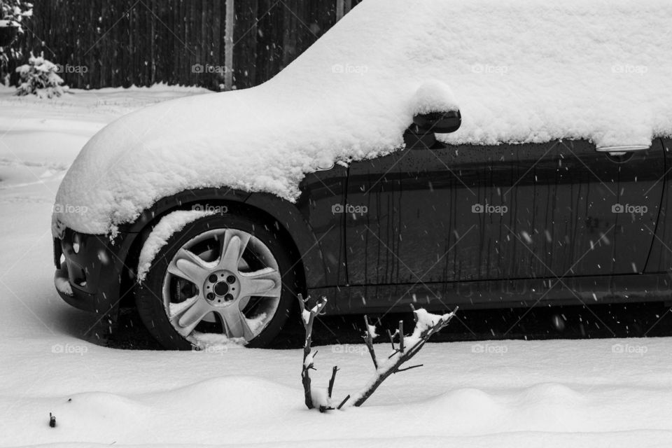 snow car