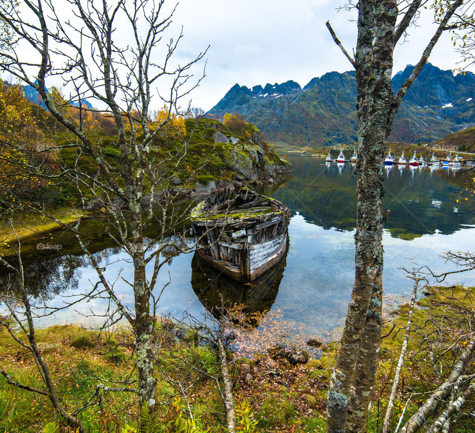 Nature, Water, Landscape, Tree, No Person