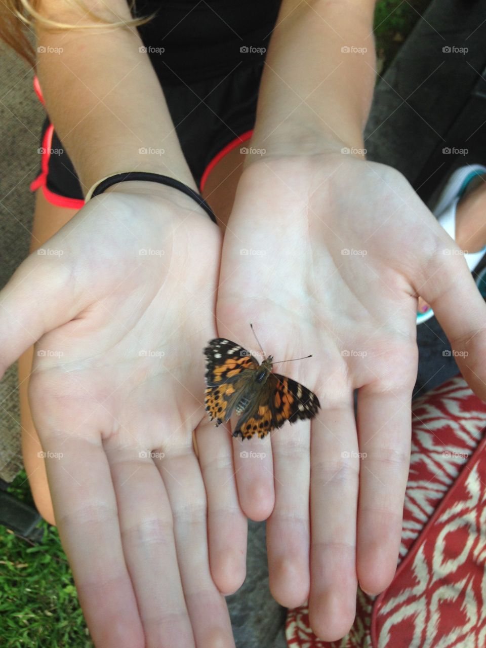 Hands holding butterfly