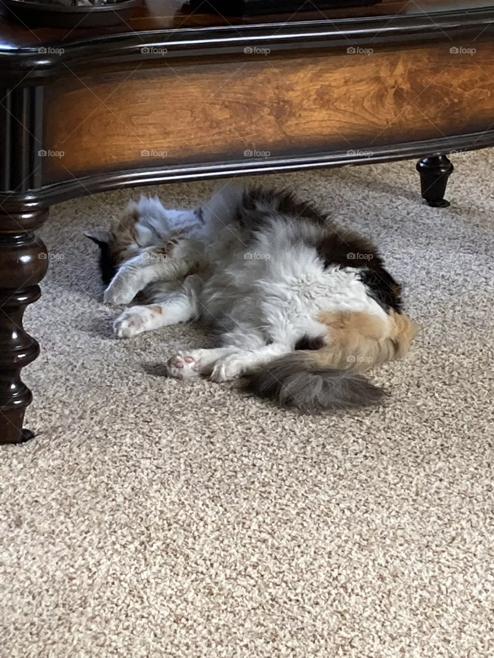Hideaway nap