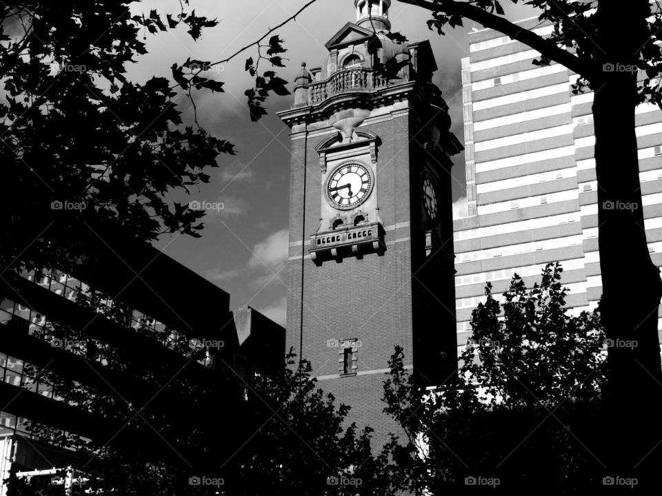 black and white architecture. English architecture