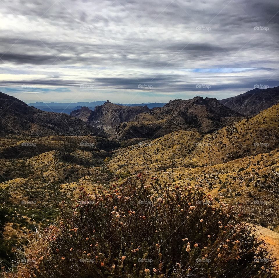 Nature Mountain - Fall 