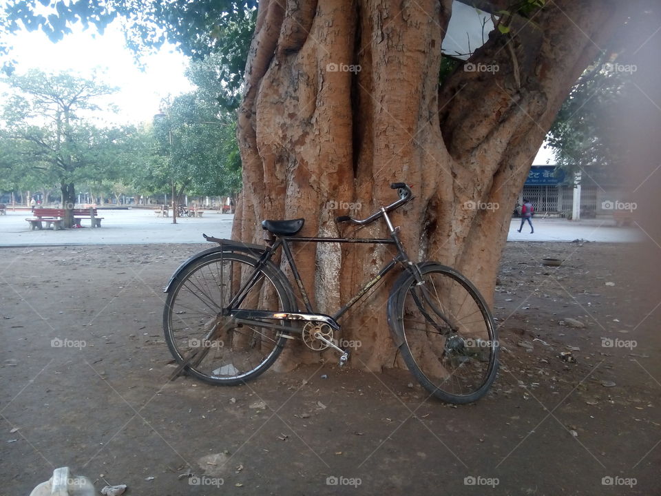 cycle