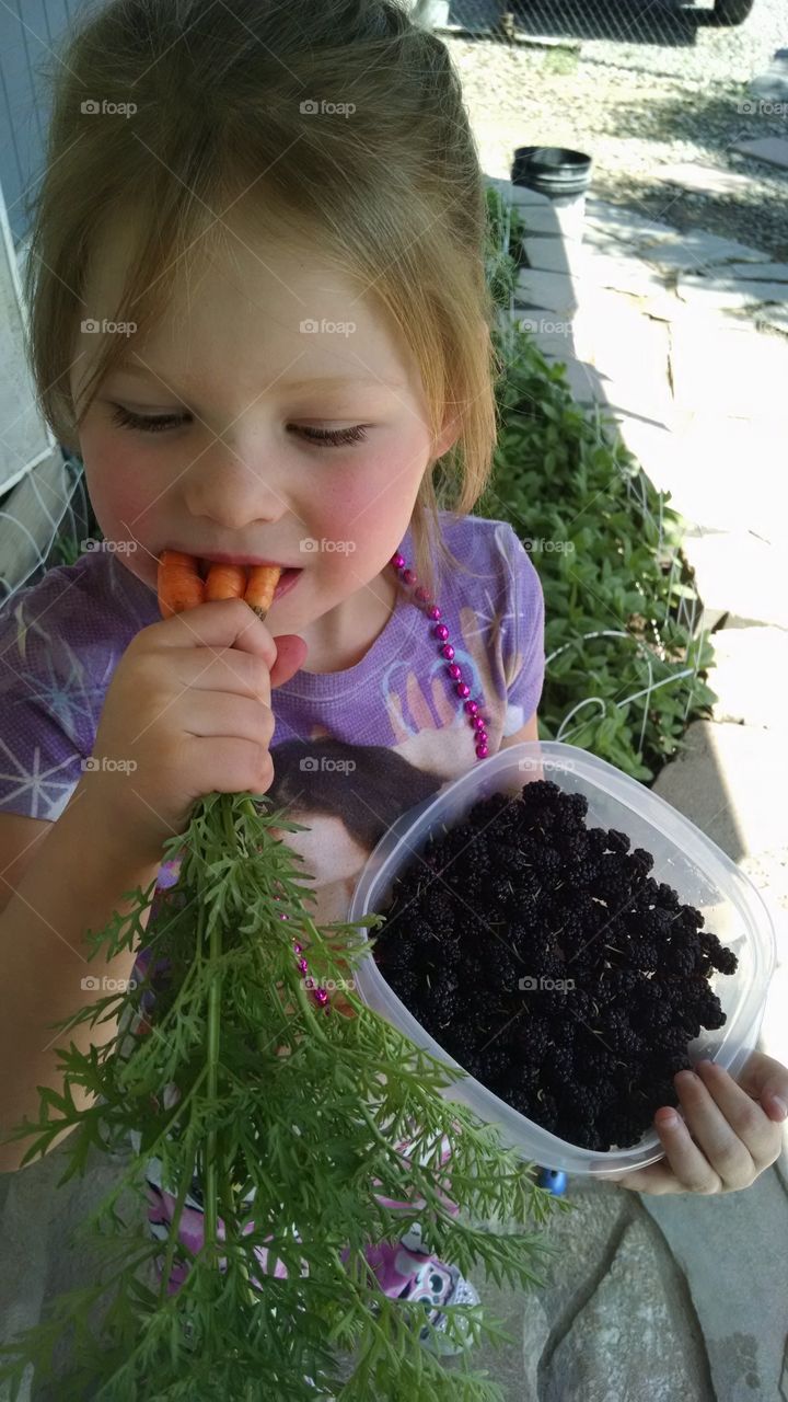 garden. fresh picked carrots and mulberries