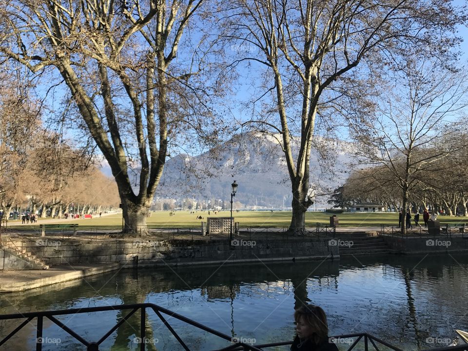 annecy france landscape tree mountain lake