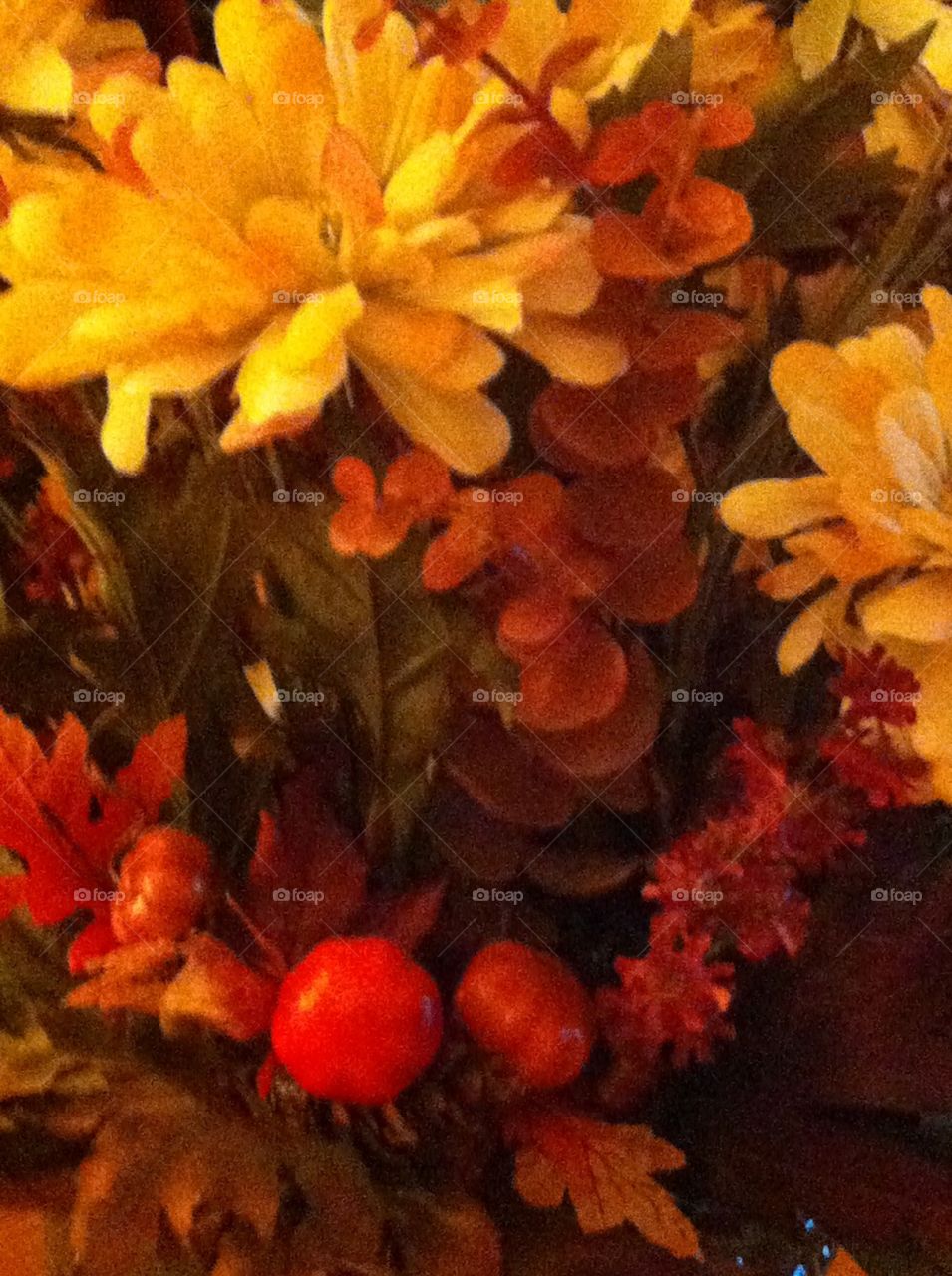 Fall flowers