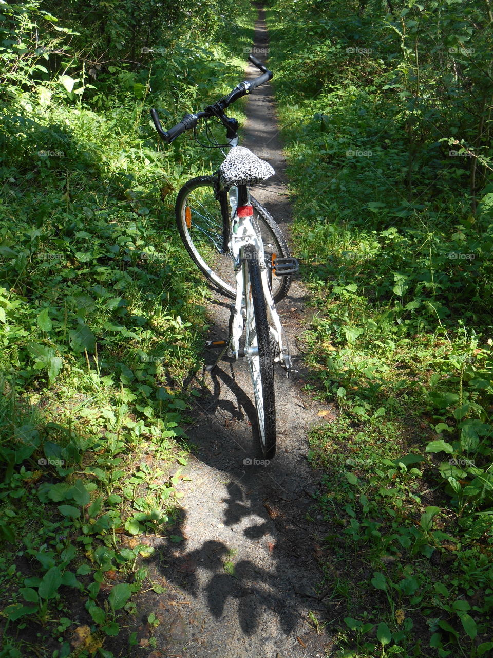 bike in the forest road green background, beautiful sunlight