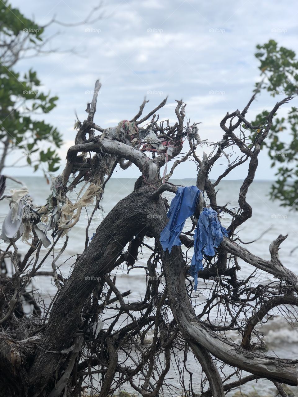 Storm debris and pollution of the seas