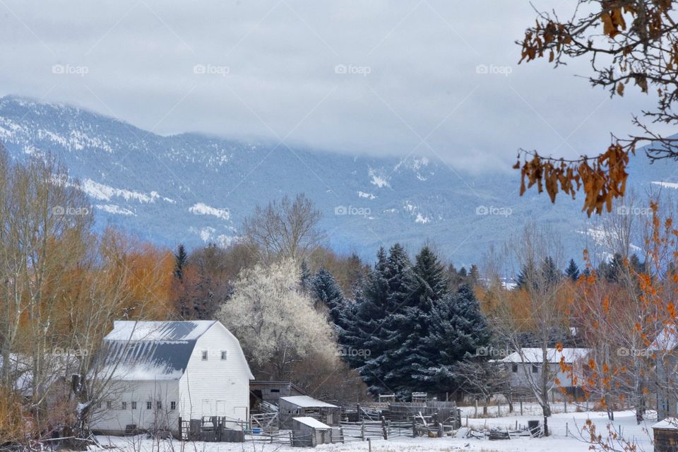 Montana winter