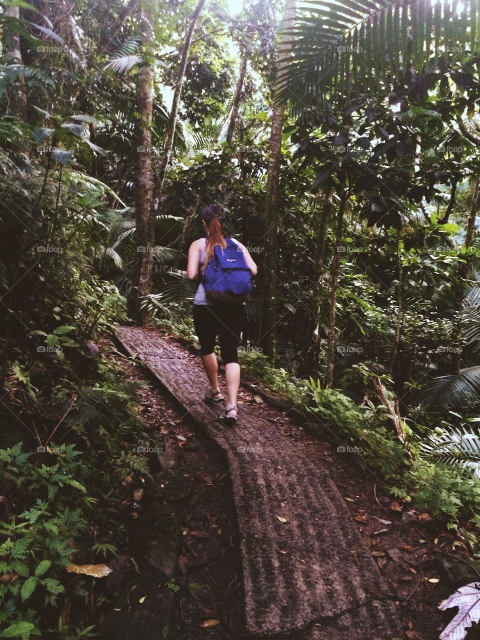 Exploring El Yunque