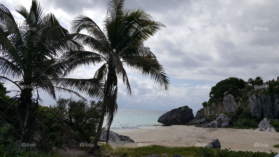 Tulum Beach with Palm Trees