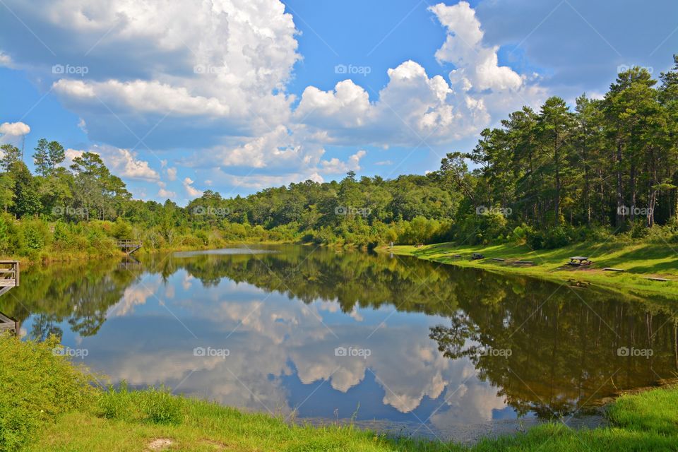 Captured a magnificent landscape in the forest of a military reservation. The puffy white clouds reflecting on the fishing lake. 