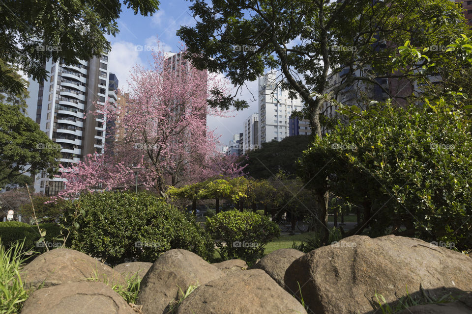 Japanese square in Curitiba Parana Brazil