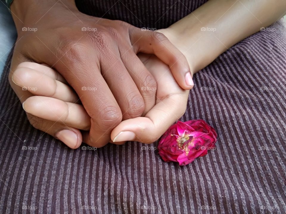 Holding hand near rose