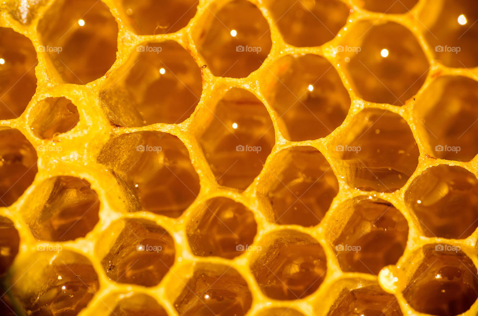 Extreme close-up of honeycomb