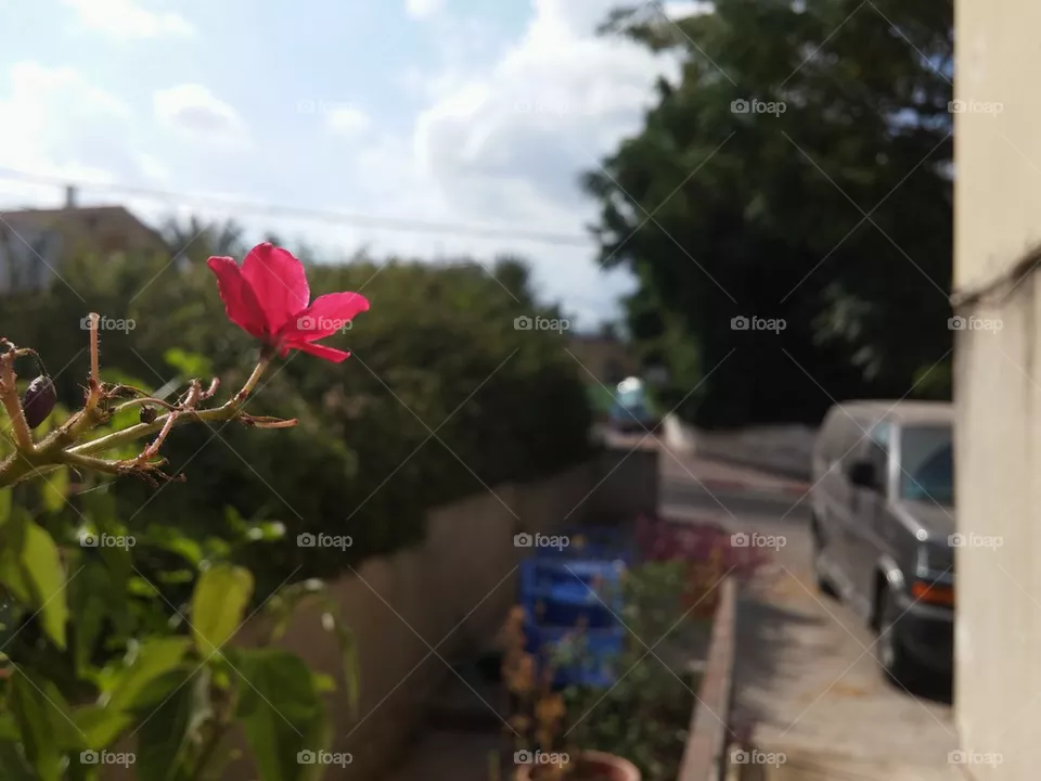 ☺